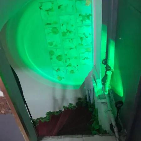 Fatih Simge Hotel Istanbul